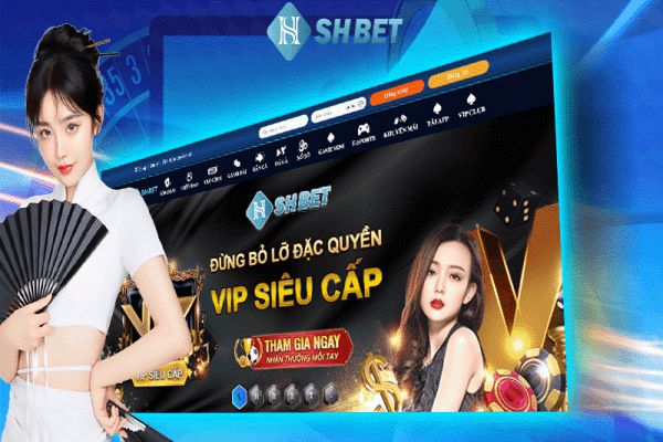 shbet6