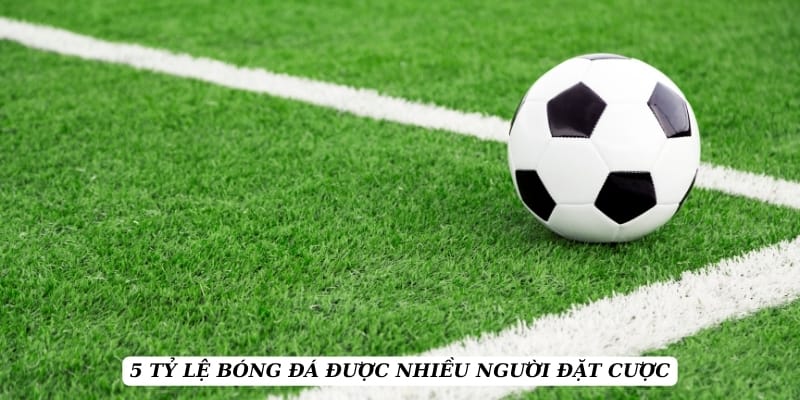 ty-le-keo-5-keo-nhieu-nguoi-dat-cuoc